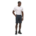 Moonlight Denim - Back - Regatta Mens Highton Walking Shorts