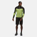 Black - Back - Regatta Mens Highton Walking Shorts