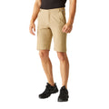 Oat - Lifestyle - Regatta Mens Highton Walking Shorts