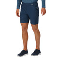 Blue Wing - Pack Shot - Regatta Mens Highton Walking Shorts