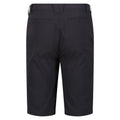 Seal Grey - Lifestyle - Regatta Mens Highton Walking Shorts