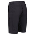 Seal Grey - Close up - Regatta Mens Highton Walking Shorts