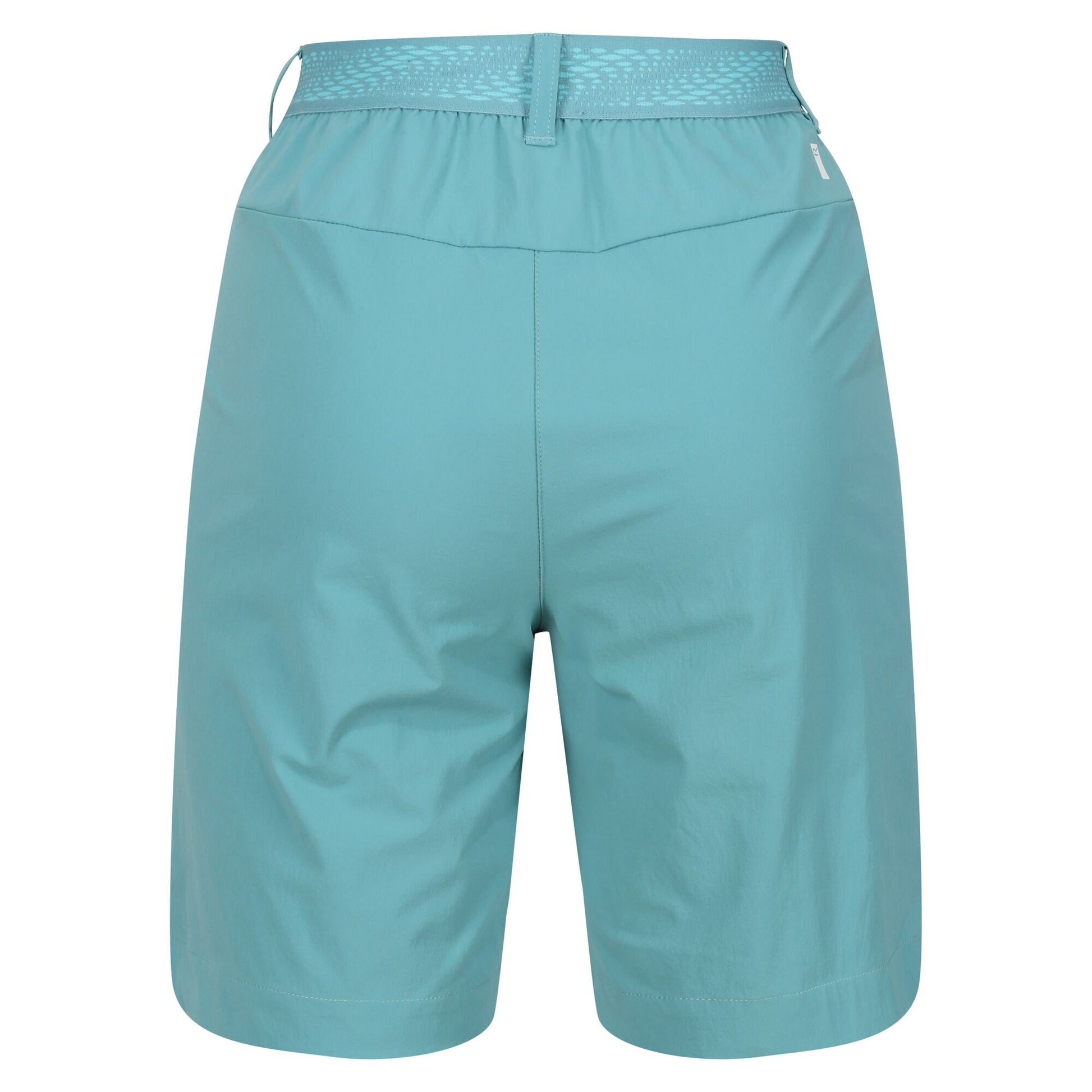 Bristol Blue - Back - Regatta Womens-Ladies Mountain II Shorts