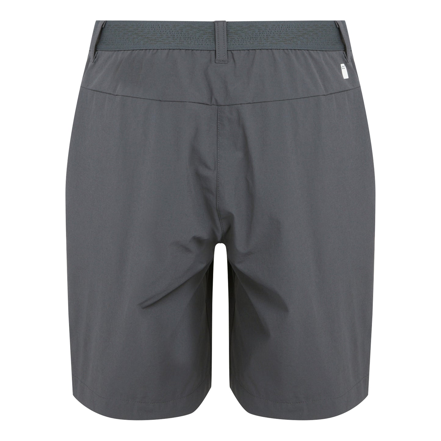 Seal Grey - Back - Regatta Womens-Ladies Mountain II Shorts