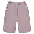 Heather - Front - Regatta Womens-Ladies Mountain II Shorts