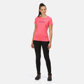 Tropical Pink - Lifestyle - Regatta Womens-Ladies Fingal VI Logo T-Shirt