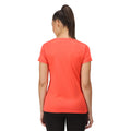 Neon Peach - Lifestyle - Regatta Womens-Ladies Fingal VI Mountain T-Shirt