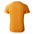 Buckskin - Back - Dare 2B Mens Persist Marl T-Shirt