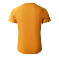 Buckskin - Back - Dare 2B Mens Persist Marl T-Shirt