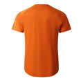 Spicy Route - Back - Dare 2B Mens Persist Marl T-Shirt