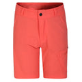 Black - Front - Dare 2B Childrens-Kids Reprise II Shorts