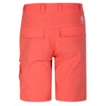 Black - Back - Dare 2B Childrens-Kids Reprise II Shorts