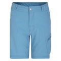 Niagara Blue - Front - Dare 2B Childrens-Kids Reprise II Shorts