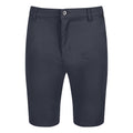 India Grey - Front - Regatta Mens Sandros Shorts