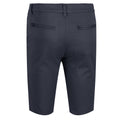 India Grey - Lifestyle - Regatta Mens Sandros Shorts