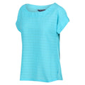 Seascape - Lifestyle - Regatta Womens-Ladies Adine Stripe T-Shirt