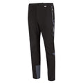 Black-India Grey - Close up - Regatta Mens Mountain III Hiking Trousers