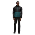 Black-Pacific Green - Back - Regatta Mens Pack It Pro Waterproof Jacket