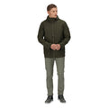 Dark Khaki - Back - Regatta Mens Bergen Waterproof Jacket