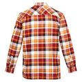 Cathay Spice - Back - Regatta Mens Thamos Checked Long-Sleeved Shirt