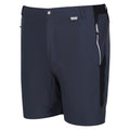 India Grey-Black - Lifestyle - Regatta Mens Mountain II Shorts