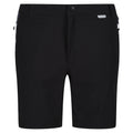 Black-India Grey - Front - Regatta Mens Mountain II Shorts