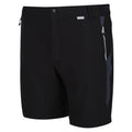 Black-India Grey - Lifestyle - Regatta Mens Mountain II Shorts