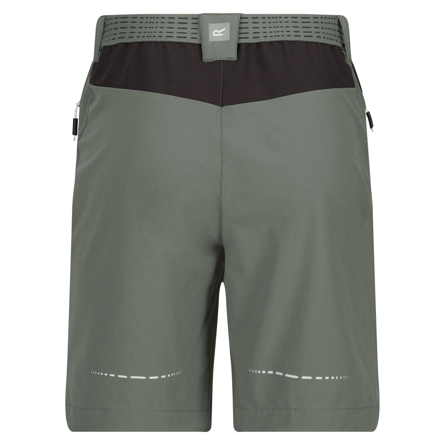 Agave Green-Ash - Back - Regatta Mens Mountain II Shorts