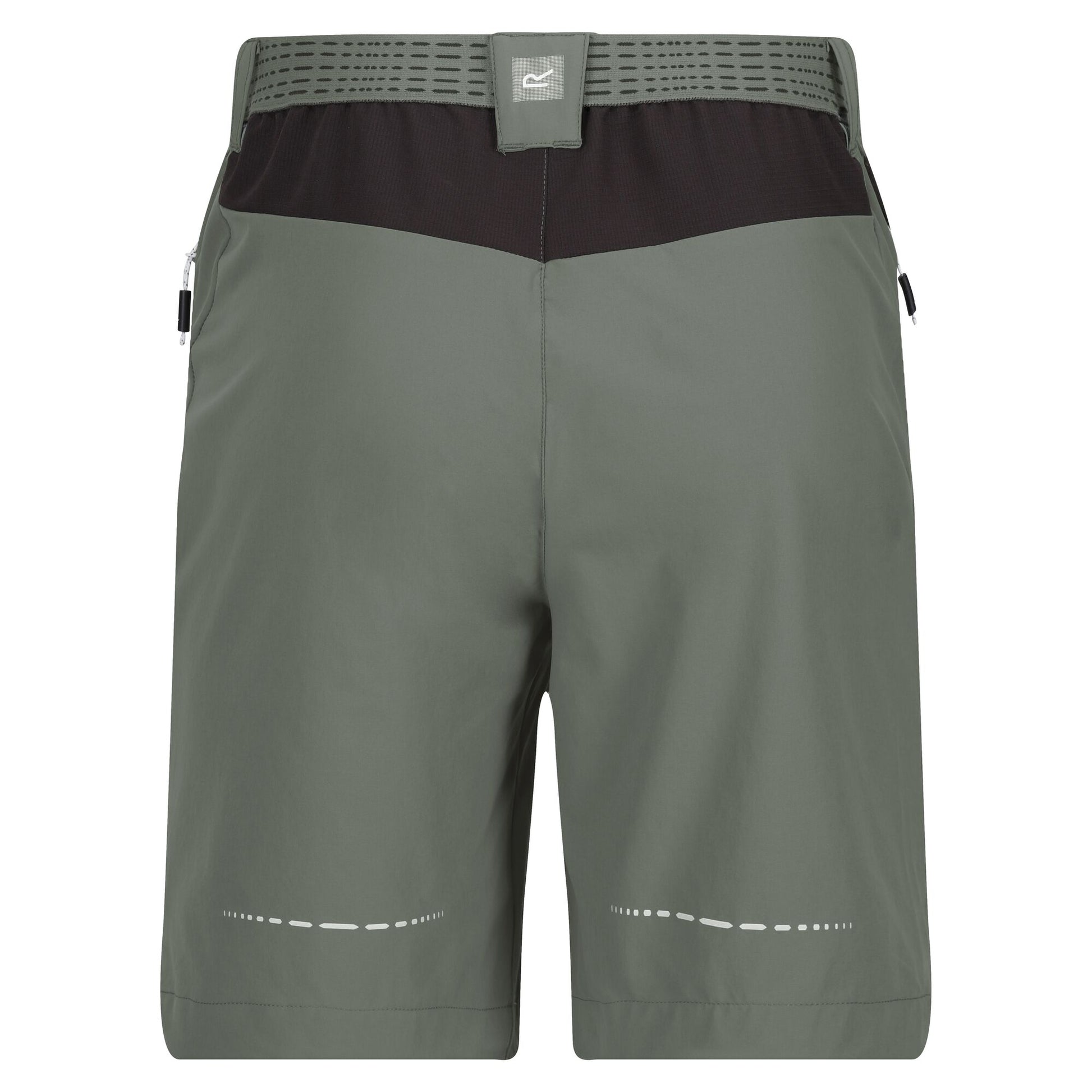 Agave Green-Ash - Back - Regatta Mens Mountain II Shorts