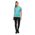 Turquoise - Back - Regatta Womens-Ladies Fingal VI Earth T-Shirt
