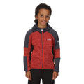 Fiery Red-India Grey - Back - Regatta Childrens-Kids Dissolver V Fleece