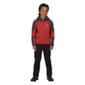 Fiery Red-India Grey - Side - Regatta Childrens-Kids Dissolver V Fleece