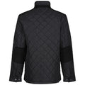 Black - Lifestyle - Regatta Mens Padbury Quilted Jacket