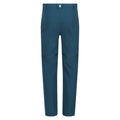 Moroccan Blue - Back - Regatta Childrens-Kids Highton Stretch Zip-Off Walking Trousers
