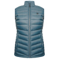 Orion Grey - Front - Dare 2B Womens-Ladies Deter Gilet