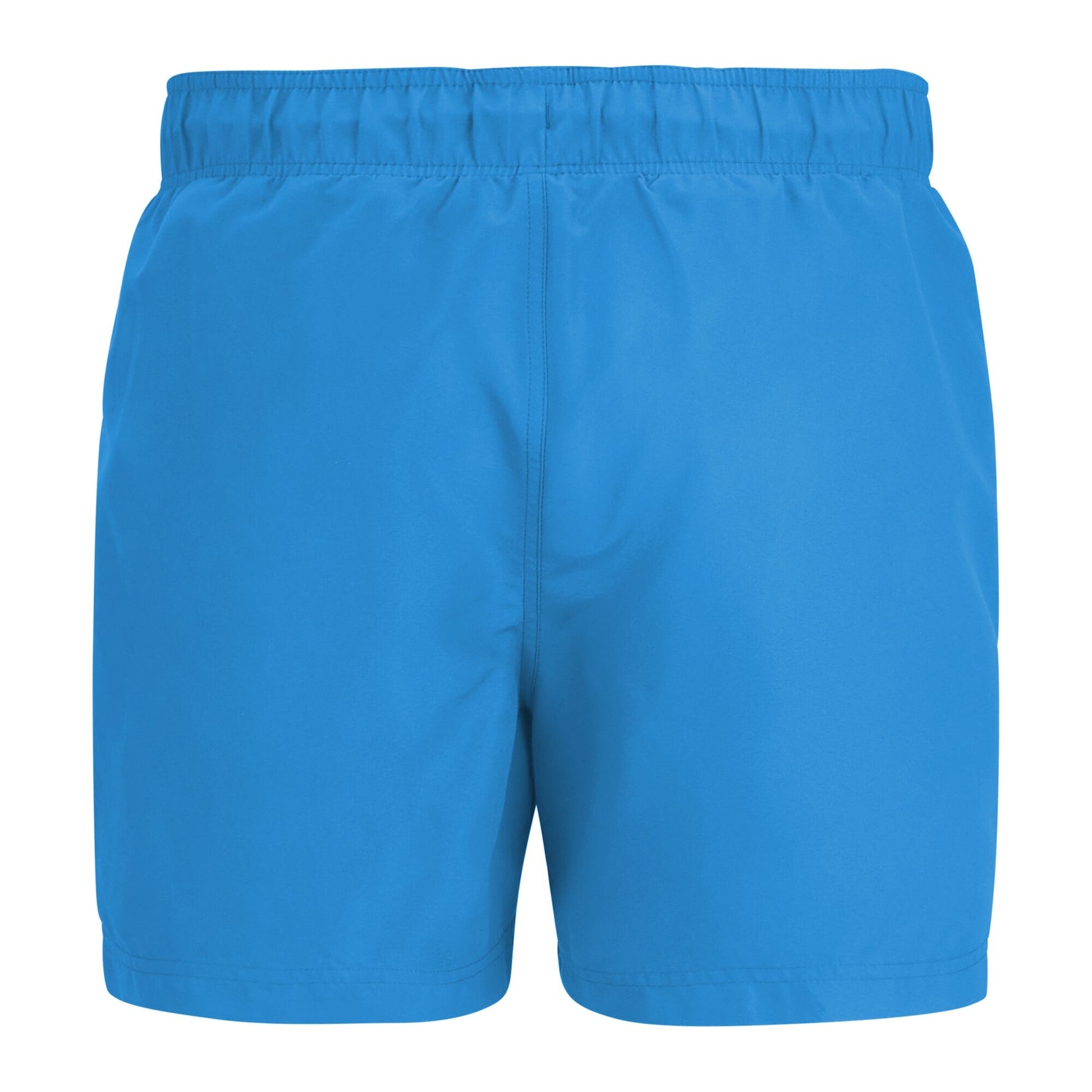 Sonic Blue-Navy - Back - Regatta Mens Mawson II Swim Shorts