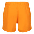 True Red - Pack Shot - Regatta Mens Mawson II Swim Shorts