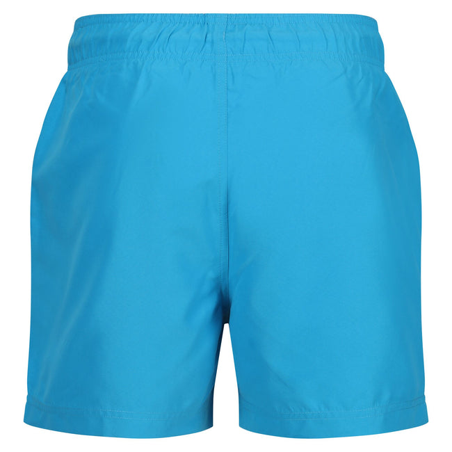 Fluro Blue - Back - Regatta Mens Mawson II Swim Shorts