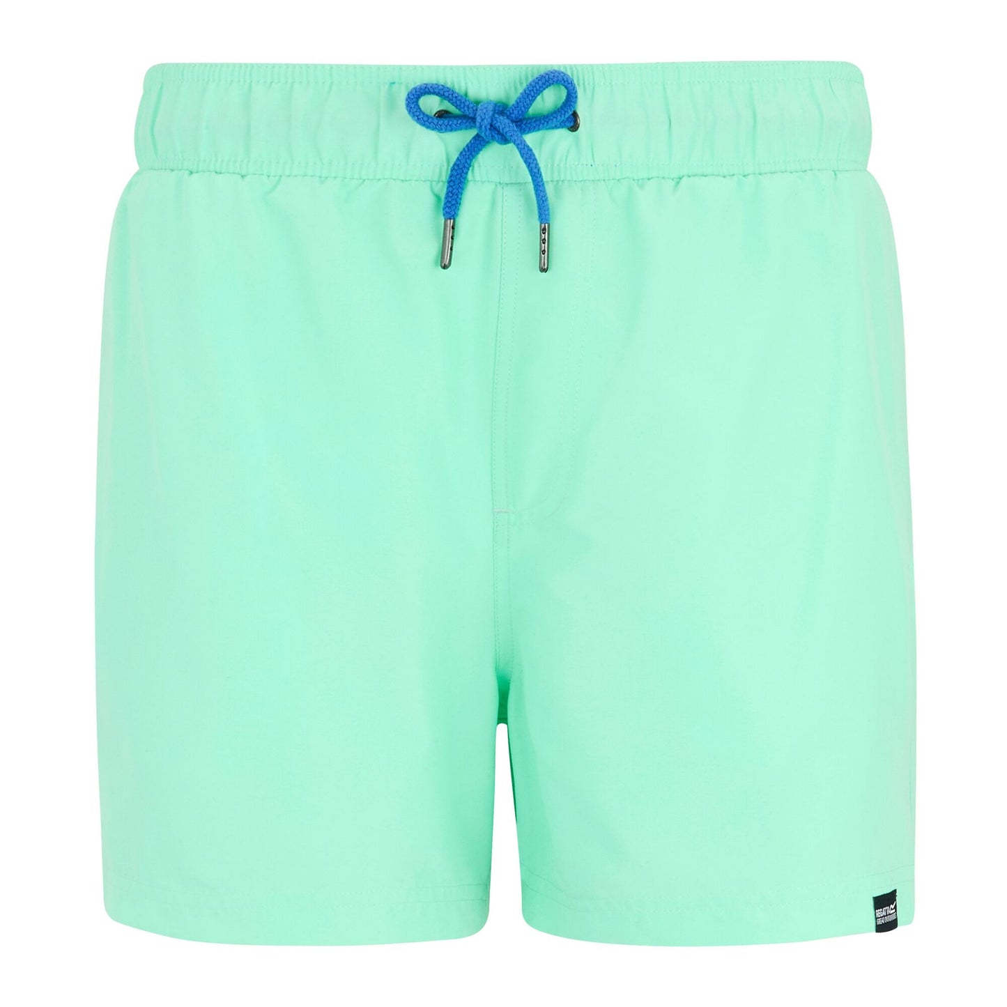 Ice Green-Sonic Blue - Front - Regatta Mens Mawson II Swim Shorts