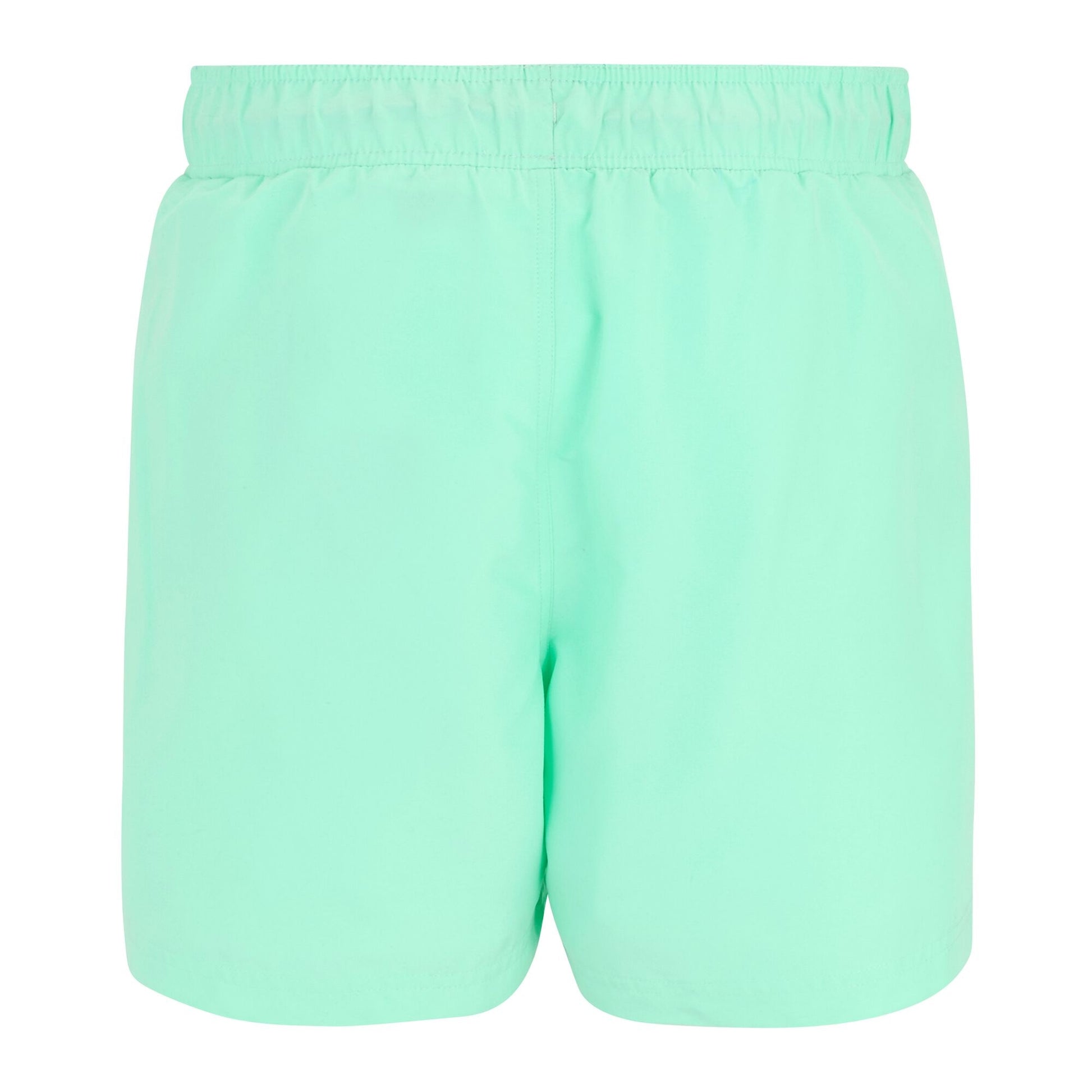 Ice Green-Sonic Blue - Back - Regatta Mens Mawson II Swim Shorts