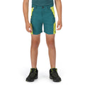 Pacific Green-Bright Kiwi - Back - Regatta Childrens-Kids Sorcer II Mountain Shorts