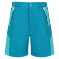 Enamel-Turquoise - Front - Regatta Childrens-Kids Sorcer II Mountain Shorts