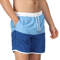 Lake Blue-Royal Blue - Lifestyle - Regatta Mens Benicio Swim Shorts