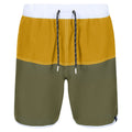 Capulet-Yellow - Front - Regatta Mens Benicio Swim Shorts