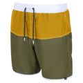 Capulet-Yellow - Pack Shot - Regatta Mens Benicio Swim Shorts