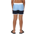 Powder Blue-Navy - Lifestyle - Regatta Childrens-Kids Sergio Swim Shorts