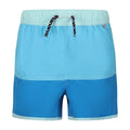 Aquarius-Indigo Blue - Front - Regatta Childrens-Kids Sergio Swim Shorts