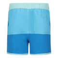 Aquarius-Indigo Blue - Back - Regatta Childrens-Kids Sergio Swim Shorts