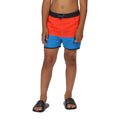Fiery Red-Imperial Blue - Lifestyle - Regatta Childrens-Kids Sergio Swim Shorts