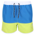 Imperial Blue-Bright Kiwi - Front - Regatta Childrens-Kids Sergio Swim Shorts